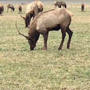 Meet your Posher, Don